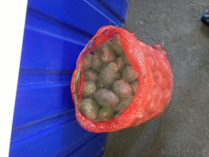 Картофель по 40 тенге #973795