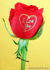 НОВИНКА! Продам маркер для цветов! #985327