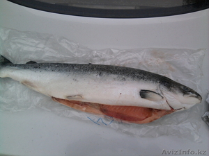 Продам Семгу Норвегия #971680