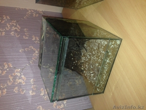 Террариумы для птицеедов на заказ #973271