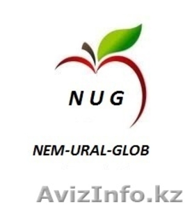 Яблоко производства Польша #976955