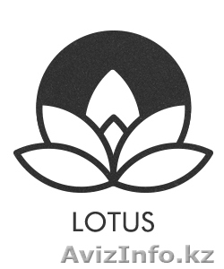 Разработка и продвижение сайта #976879