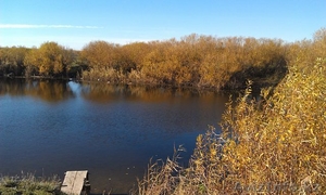 Участок в Курганской области  #983280