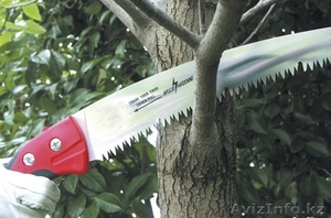 Обрезка плодовых деревьев. #973681