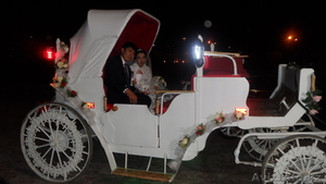 Продам КАРЕТУ (интересный бизнес) в Шымкенте #973879