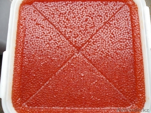 ООО Абсолют менеджмент,  89139638699, front.office.amgt@gmail.com #995194