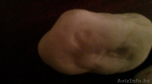 НЕФРИТ БЕЛЫЙ РЕЧНОЙ #989407