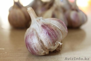 Чеснок свежий местный в Алматы. #998037