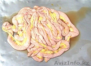 Продукты Животного происхождения #988059