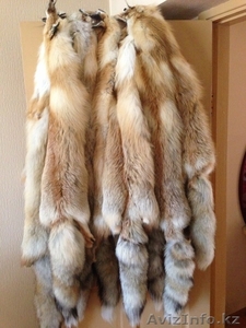 Мех Лисы степная очень хорошая #999561