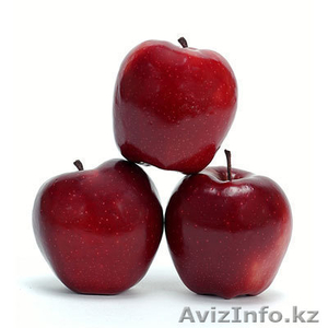 Яблоки продам недорого #997770