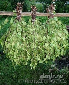 ВЕНИКИ БЕРЕЗОВЫЕ. ДУБОВЫЕ ДЛЯ БАНИ #1007021