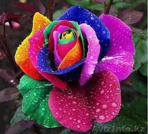 Косметолог Массажист  #1003467