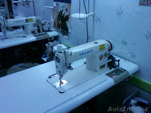 Feiao (Tupical) #1004282