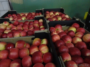 ALDA Sp.J  darek@alda93.pl  tel. 48 601158947 #1008877