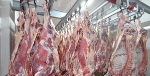 Мясо говядины,  конины,  баранины. #1010527