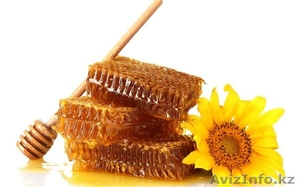 Мёд алтайский оптом по 650тнг . — 650 тнг. #1011415