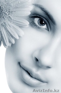 SHERONS ТОО (ICC)  #1005938