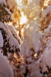 Профессиональный фотограф.. #1011206