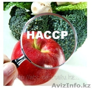 Сертификация СТ РК ИСО 22000  #1028512