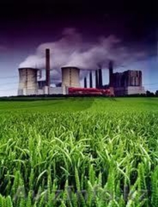 ISO/ИСО 14001 Система экологического менеджмента #1028410