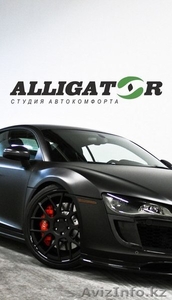 ALLIGATOR студия автокомфорта #1023563