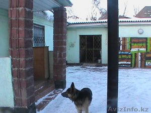 дом на пересечения кассина белинского, напротив ипподрома #1017300