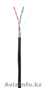 Кабель NETLAN U/UTP 2 пары,  Кат.5,  внешний,  PE -40C,  одножильный,  100МГц,  черный #1016103