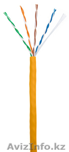 Кабель NETLAN U/UTP 4 пары,  Кат.5e,  внутренний,  LSZH,  одножильный,  100МГц #1016121