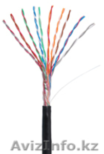 Кабель NETLAN U/UTP 10 пар,  Кат.5,  внешний,  PE -40C,  одножильный,  100МГц,  черный #1016126