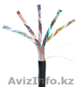 Кабель NETLAN U/UTP 25 пар,  Кат.5,  внешний,  PE -40C,  одножильный,  100МГц,  черный #1016128