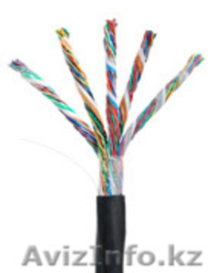Кабель NETLAN U/UTP 50 пар,  Кат.5,  внешний,  PE -40C,  одножильный,  100МГц,  черный #1016129