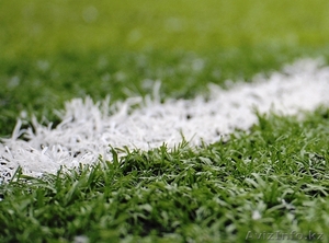 Искусственная трава с ПУ подкладкой #1016441