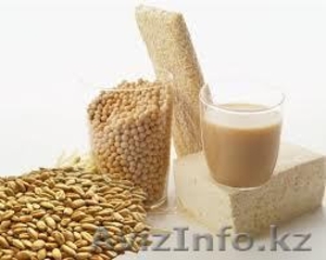 Безопасность пищевой продукции ИСО 22000 #1028833