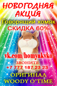 Продам говорящего хомяка!  #1016180
