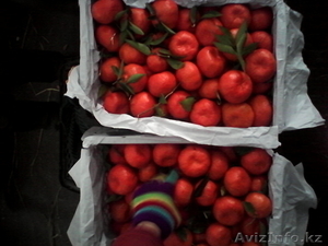 Продам мандарины #1021422