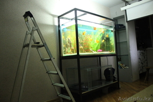 Аквариумы с рыбками #1015314