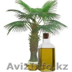 Пальмовое масло 99, 9% #1022155