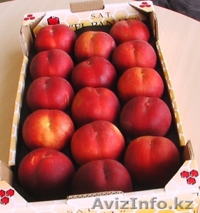 Свежие  фрукты и овощи из Испании  #1026162