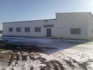 Кубеков Асылан,  +77787367376,  +7701957869 #1024550