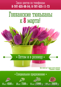 Голландские тюльпаны к 8 марта! #1026823