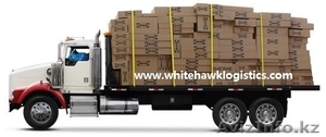 White Hawk Logistics #1024903