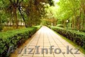 Курорт Сарыагаш #1025550