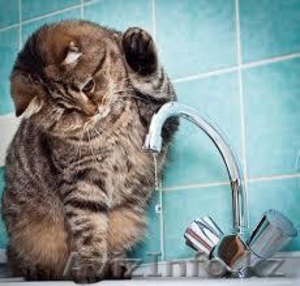 Сантехнические газо-сварочные работы #1021553