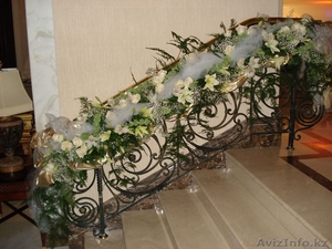 компания Asterix #1036522