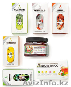 Антипаразитарная программа GELMOSTOP #1046672