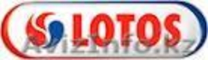 Смазочные материалы LOTOS OIL #1037697