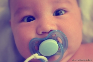 Фотосъемка Костанай #883946