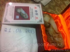 Антиквариат, статуэтка #1035604