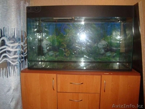 аквариум с тумбой и всеми принадлежностями #1040270